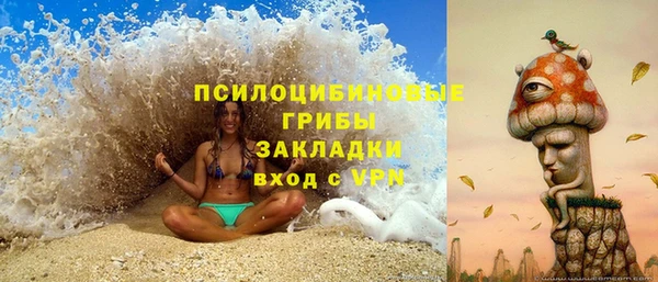 первитин Гусев