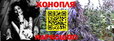 СК Канаш