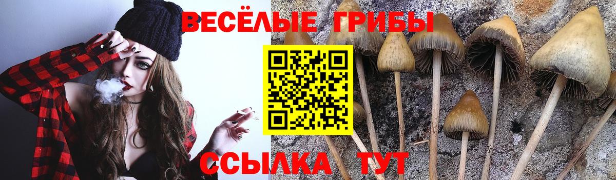 Галлюциногенные грибы Psilocybine cubensis  купить наркотики цена  Галлюциногенные грибы ЛСД  Каменск-Шахтинский  Вход с VPN 